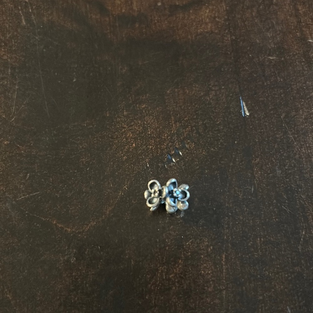 Super pretty Pandora charm - like new!